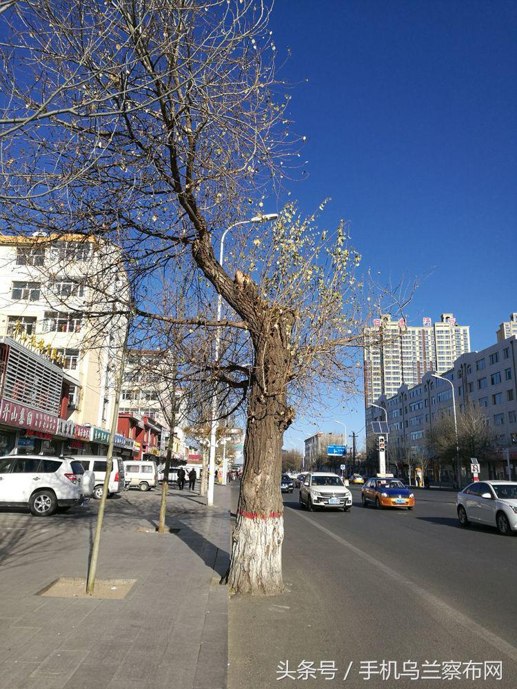 老集宁的回忆,老集宁的历史