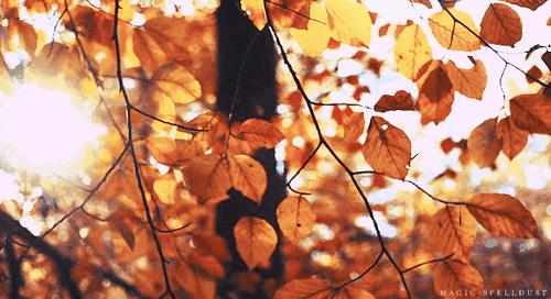 杨幂推荐的口红色号,杨幂口红都是什么色号