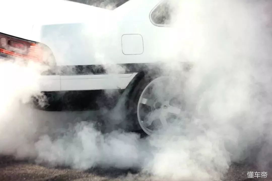 我和春天有个约会,我和春天有个约会阅读