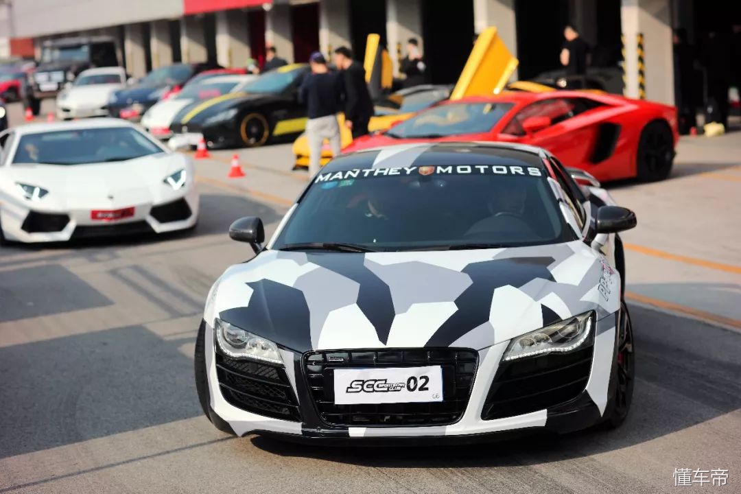 我和春天有个约会,我和春天有个约会阅读