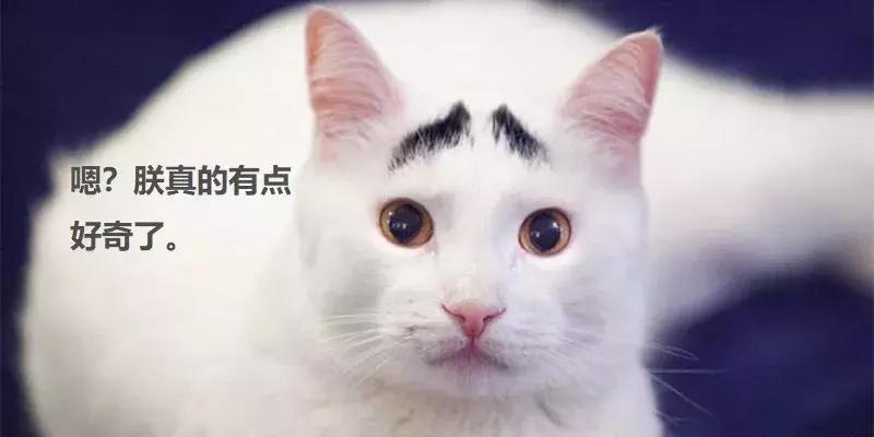 比乐视、拜腾靠谱多的造车新势力，一个星期后见分晓