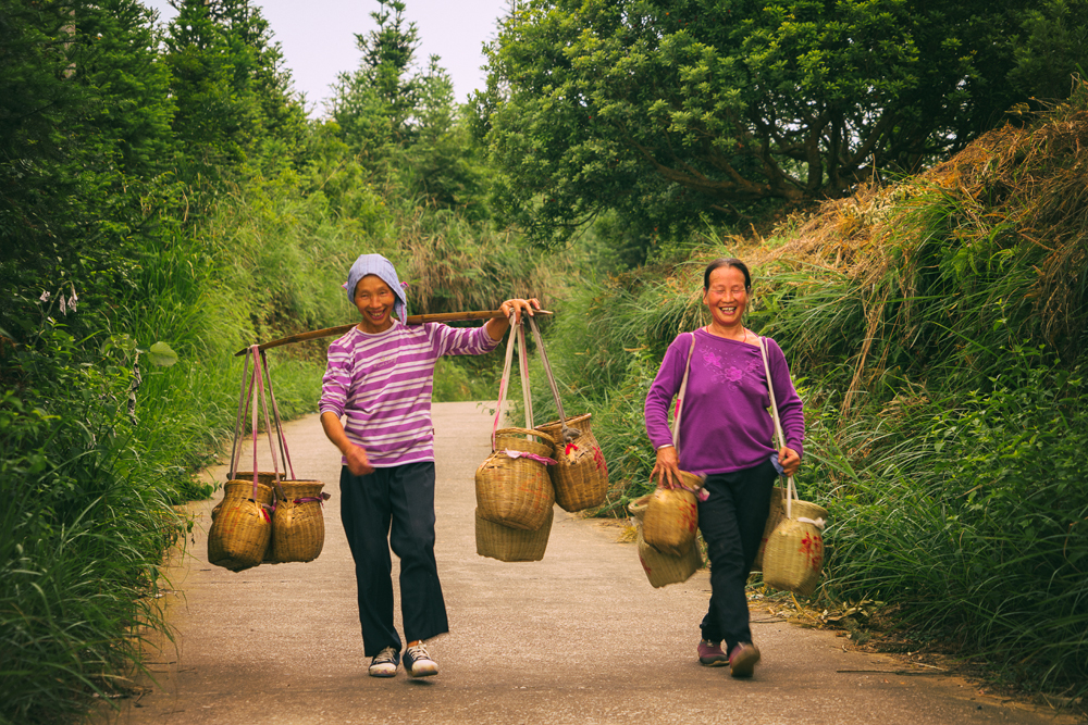 农产品众筹种植怎么做,特色农产品众筹策略