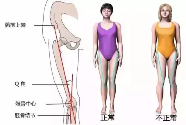 不管XO，轻松几个动作让你收获一双“维秘腿”！