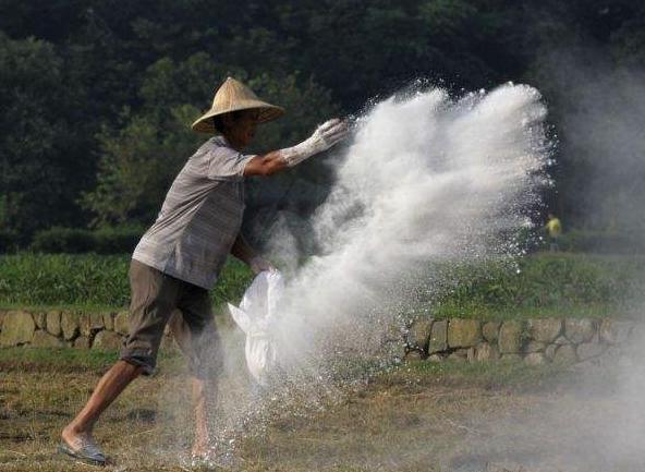 沙糖桔需要的土壤,种植砂糖橘加什么营养液