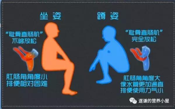 缓解便秘的最快方法动作,缓解便秘的小妙招做法