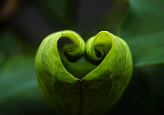 入禅定的标准,入禅定能看到什么