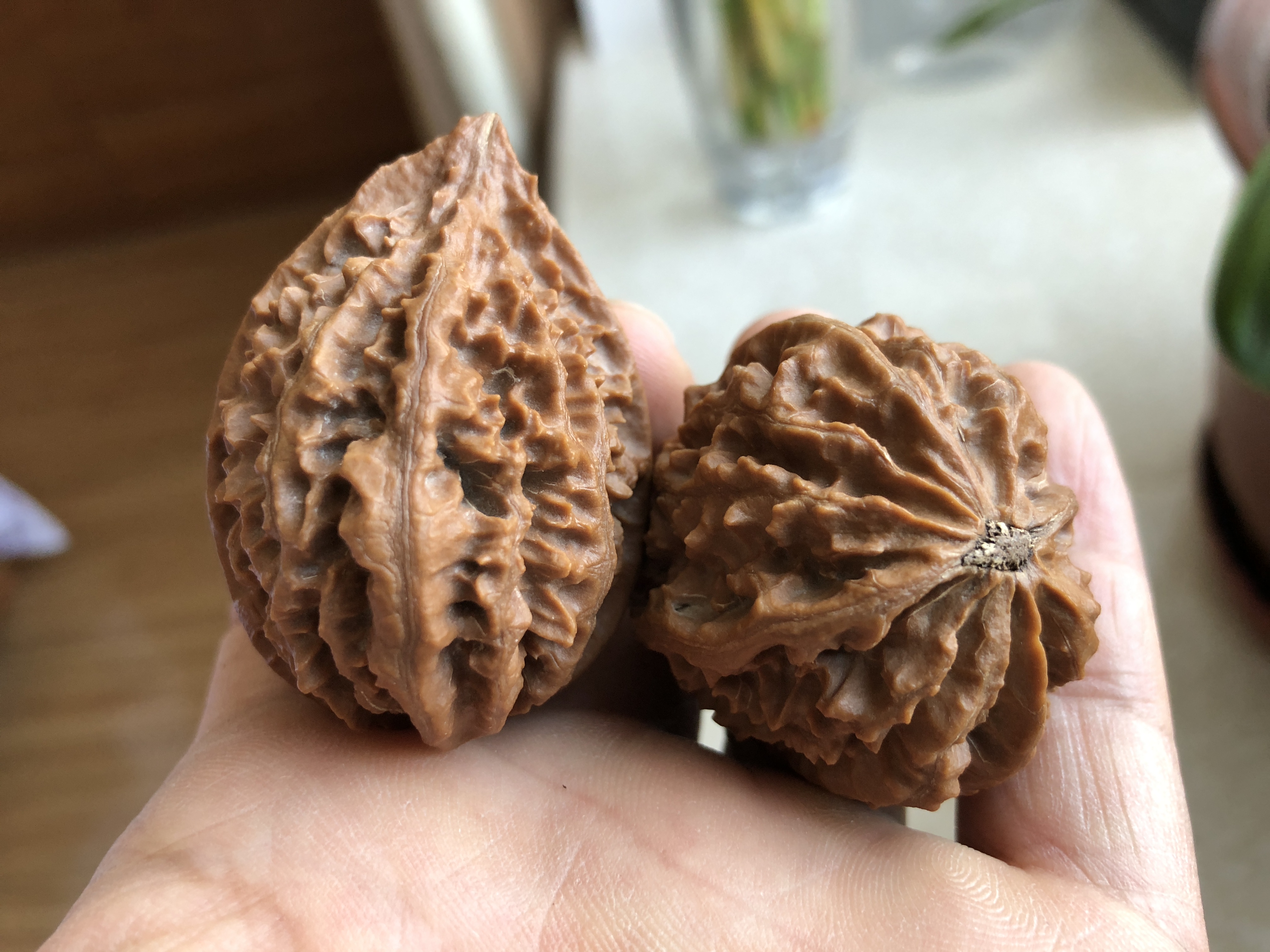 文玩核桃磕尖还能玩吗图片,文玩核桃不小心打碎了