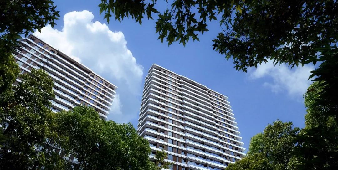 5万㎡大树草坪！金融区森林豪宅，它或是“世界杭”又一张新名片