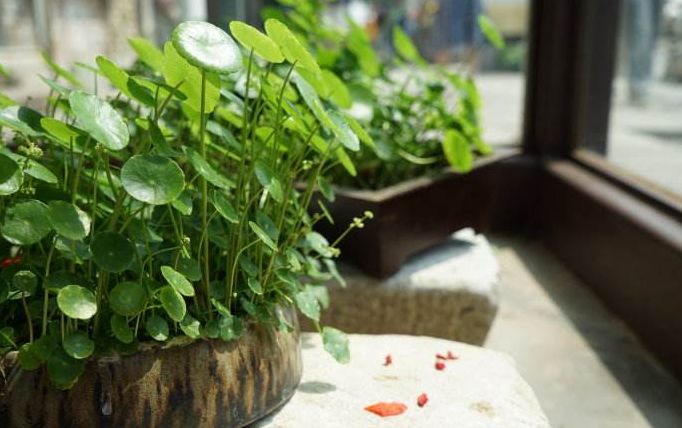 网友投稿亲身经历中邪故事,网友亲身经历的邪门事件