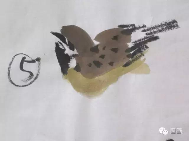 国画鸟的画法初学者,鸟的眼睛画法国画