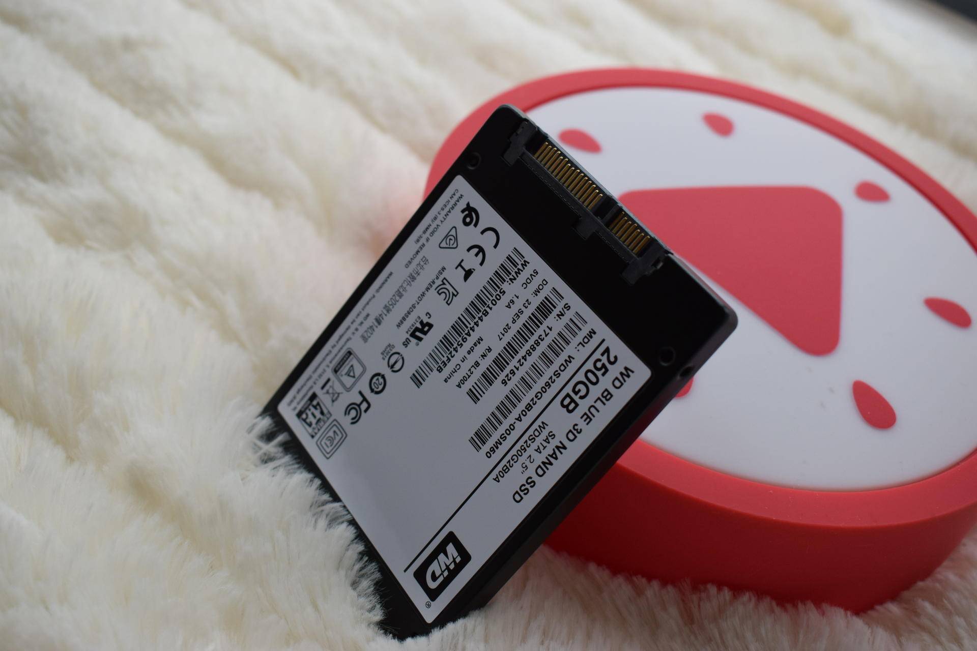 西数蓝盘和其它盘有什么不同,为什么西数蓝盘备受欢迎