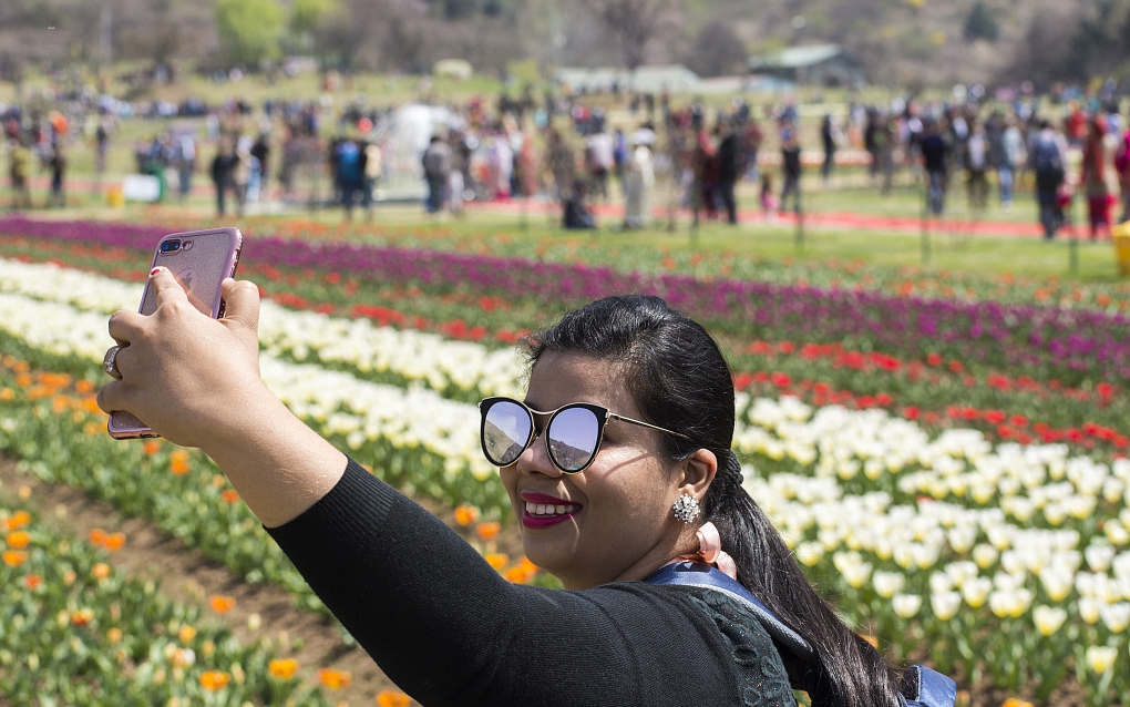 郁金香花语世界,全球独一无二的郁金香花园