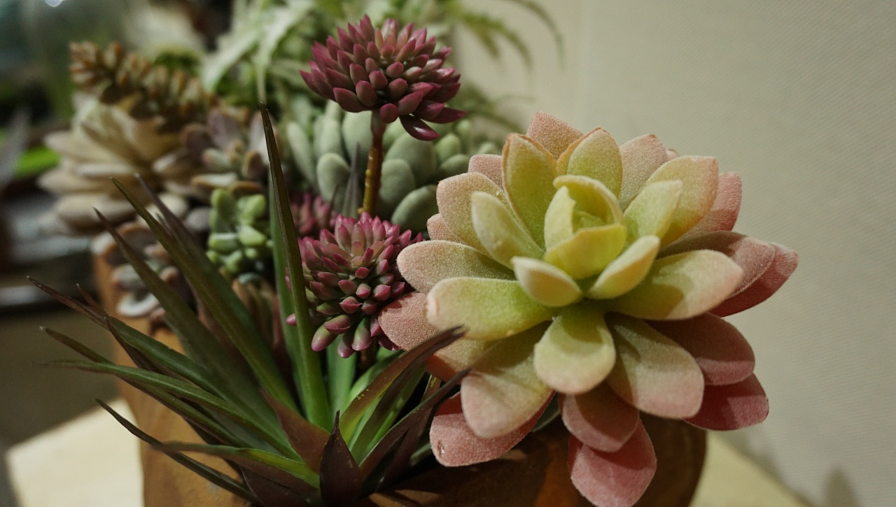 微商代理商的引流方法,新手如何做微商代理商