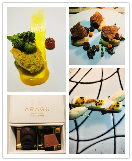 马尔代夫过渡酒店推荐,马尔代夫两大两小酒店推荐