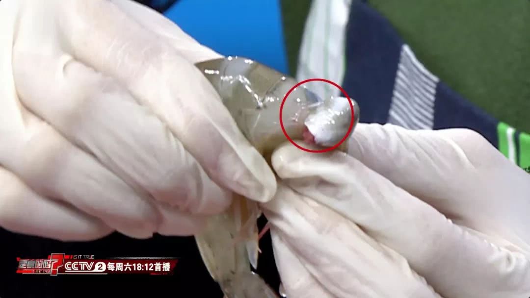 教你快速去除虾线,怎么挤虾线和内脏