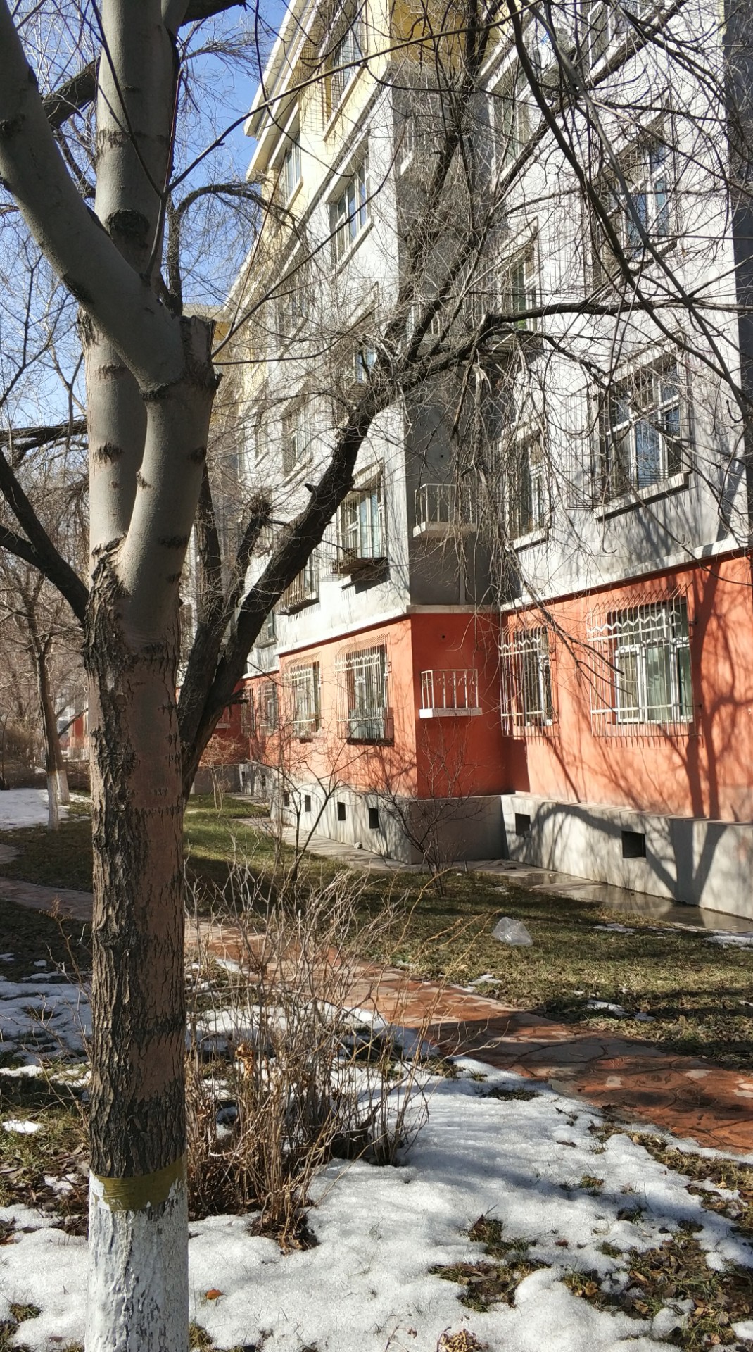 小小的像蟋蟀的是什么虫子,小小的蟋蟀怎么养