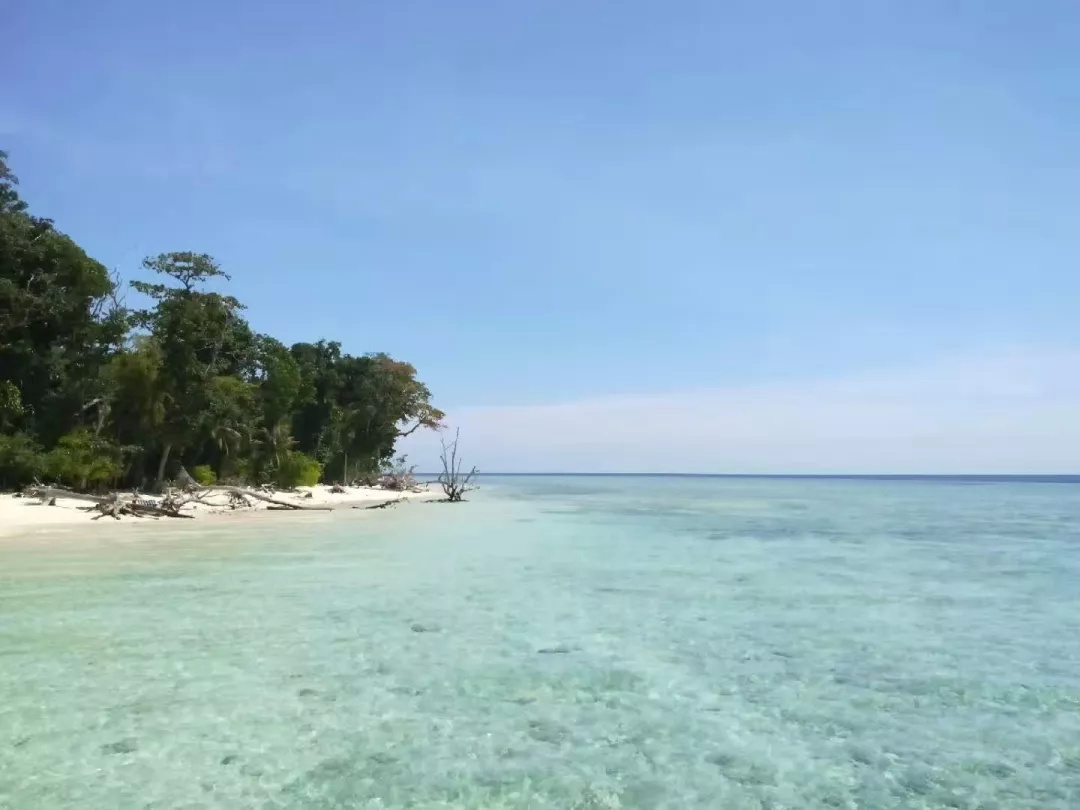 仙本那和印度尼西亚潜水哪个更好,仙本那世界潜水圣地