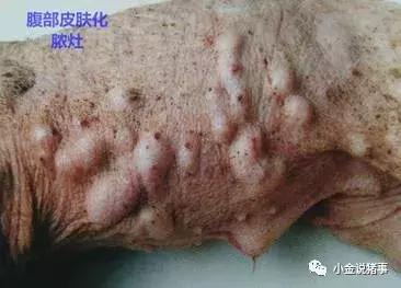 牙龈长脓包怎么治疗,脓疱病怎么治疗最快