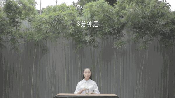 解锁春茶的多种冲泡方式,春茶上市的正确冲泡方法