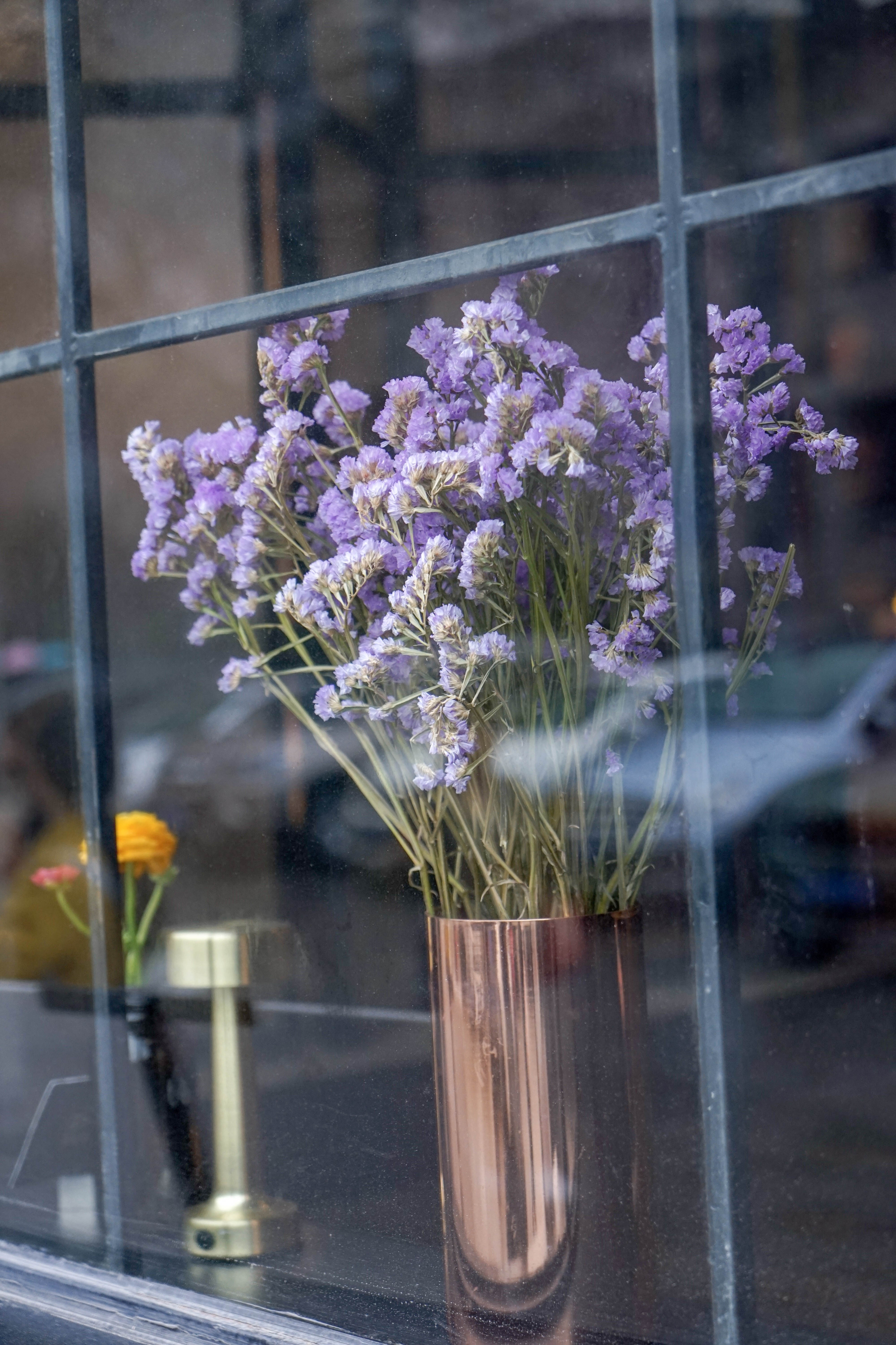 重庆3d看景区,重庆看3d电影最好的地方