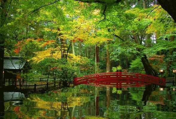 怡人的风景美景,湖南怡人园林