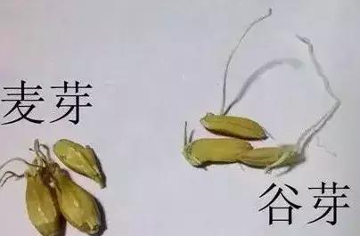 家庭常备中药清单,儿童家庭常备小中药