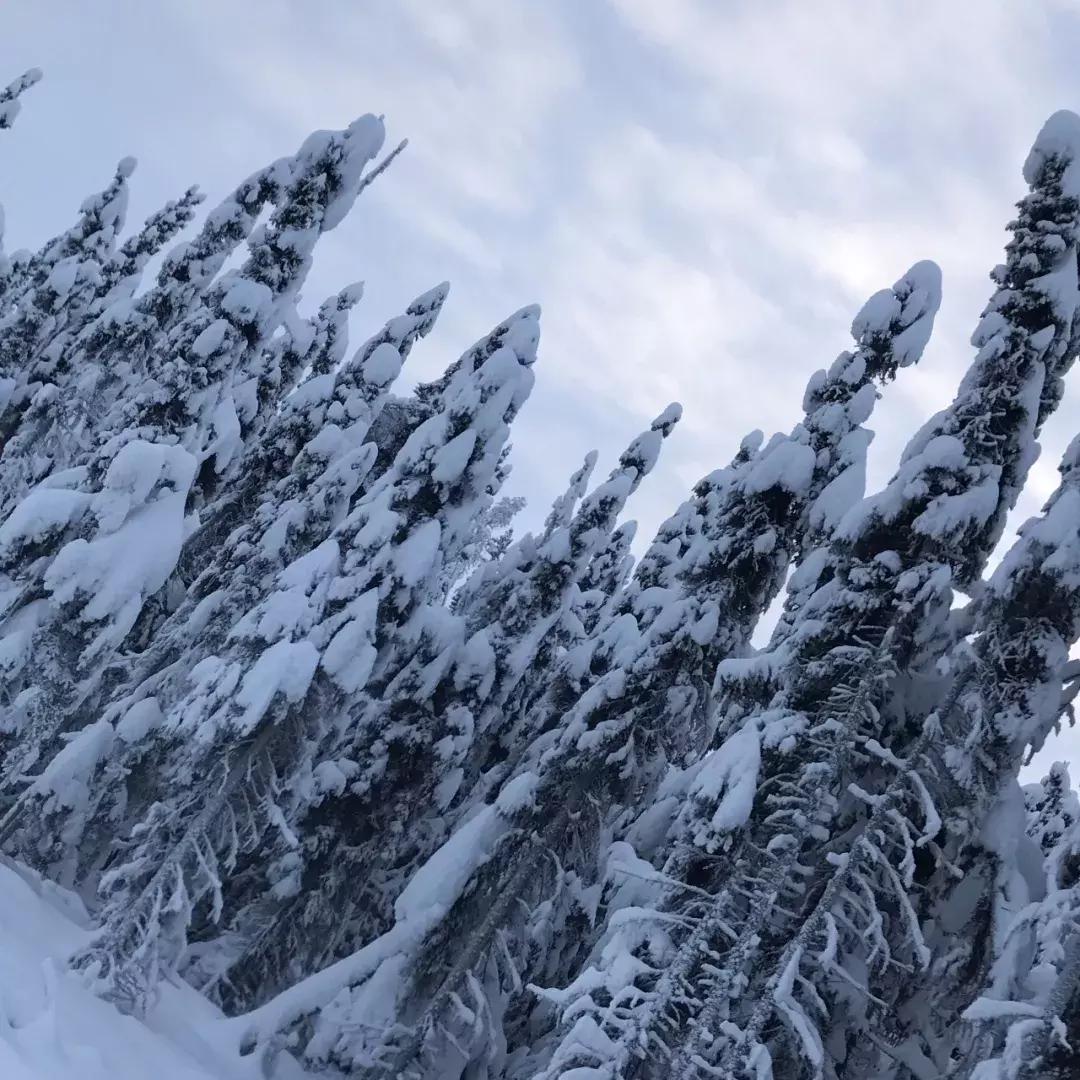 一生一定要去一次夏威夷,一生一定要来的地方洛杉矶