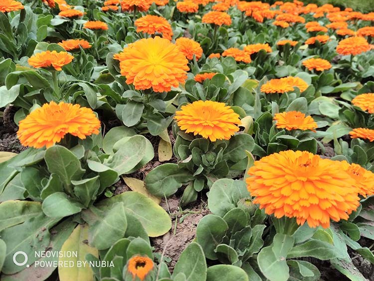 努比亚30w双口氮化镓快充测评,努比亚全面屏手机测评