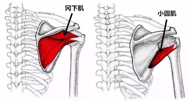 肩峰下撞击综合征的康复评估,肩峰下撞击综合征的康复方法
