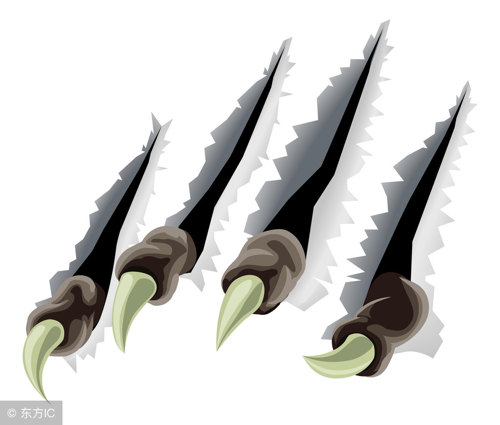 excel中怎么在单元格中画斜线,excel里面单元格里面怎么画斜线