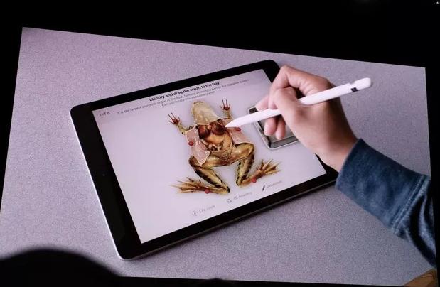 苹果最新款ipad的价格,苹果新ipad发布旧ipad降多少