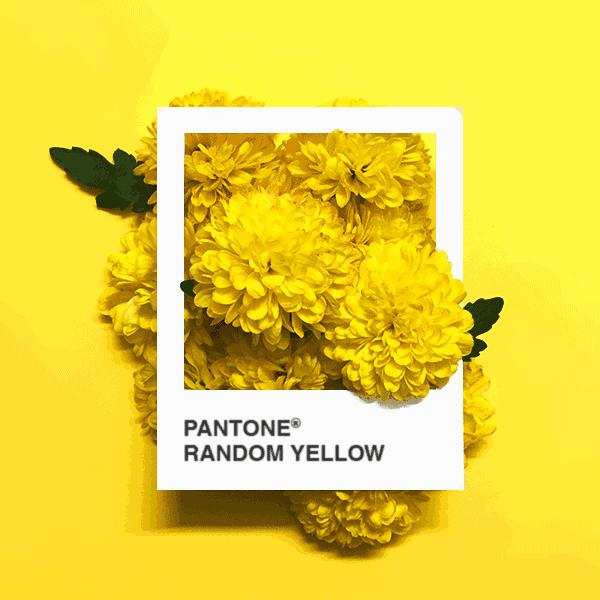 2018春夏流行色来了这样穿美爆了,2020年春夏流行色来袭超美超高级