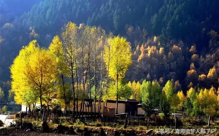 青海互助彩虹部落图片,青海互助彩虹部落和田玉