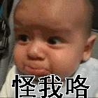 奔富假酒是怎么被发现的,澳洲奔富是山寨酒么