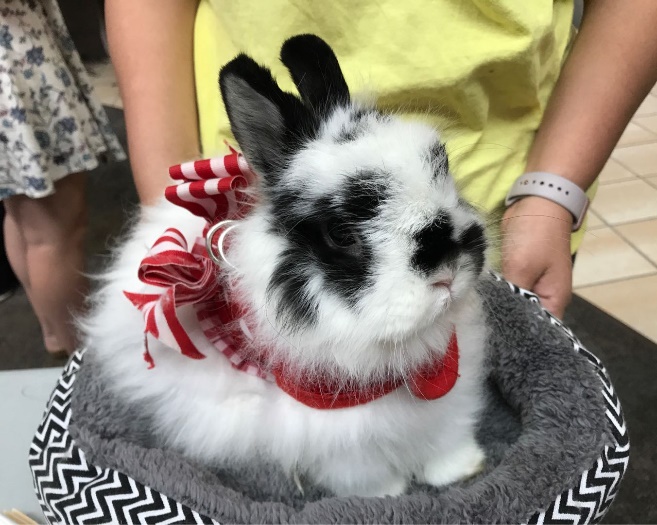 学生来稿_UMNCarlsonMSF学生的申请回顾与就读体验