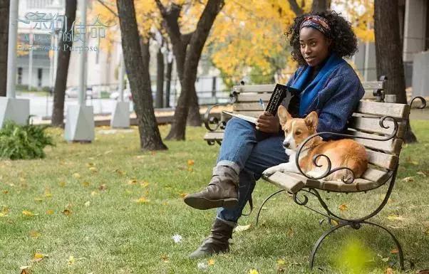 确认过的眼神是我想宠的人,确认过眼神是我想撩的灵魂