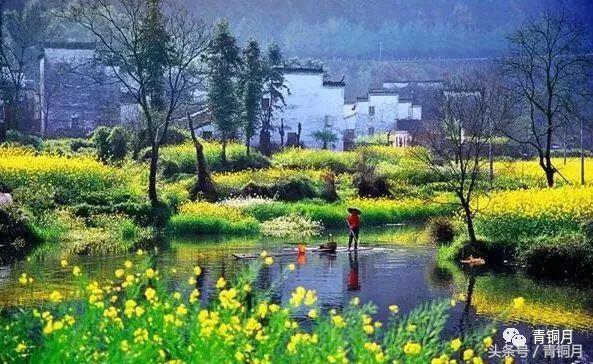 春季野生美食做法家常菜,春季特色美食做法家常菜