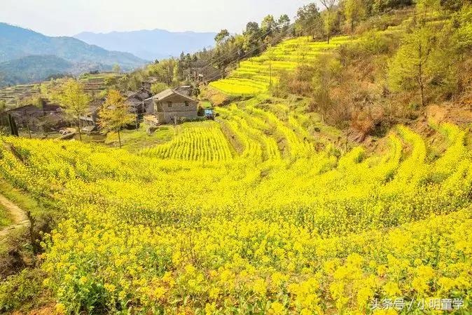 红色记忆、江南山乡、诱人美食…这趟旅行才最值得一试!