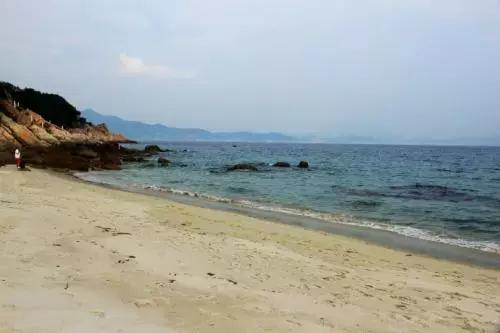 深圳仙湖植物园清明踏青赏花,深圳2022清明能去旅游吗