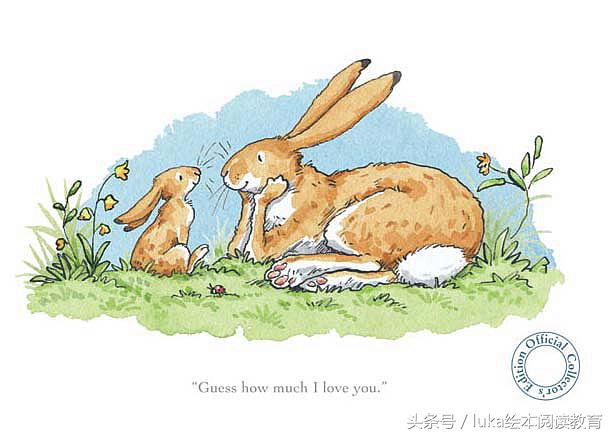 亚马逊公认100本好书,亚马逊河儿童绘本推荐3-6岁