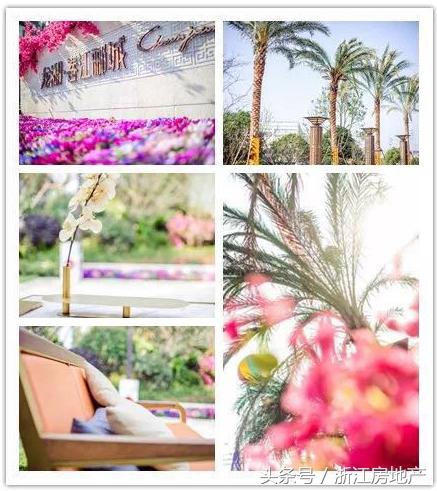 平湖这个城市值得去吗,平湖这几年发展得怎么样