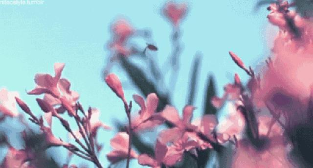 深圳闲逛地方推荐,深圳最近适合自由行的小镇