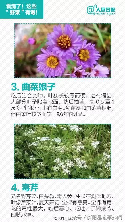 衡阳市食品安全监管局,衡阳县食品安全监管