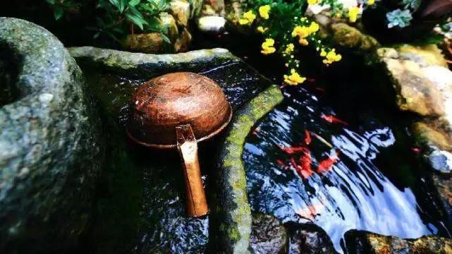 春来花自青秋至叶飘零原文解释,春来花自青秋至叶飘零出自哪里