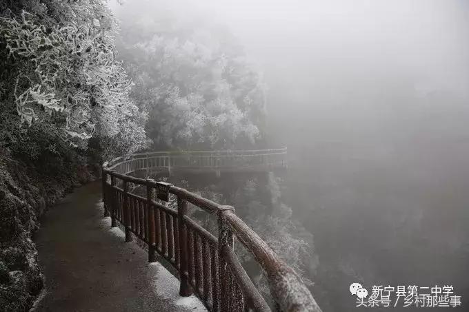 崀山鲸鱼闹海视频,不见鲸鱼的全部小说