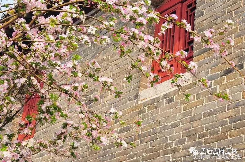 唯美中式风景,唯美花开美景图片