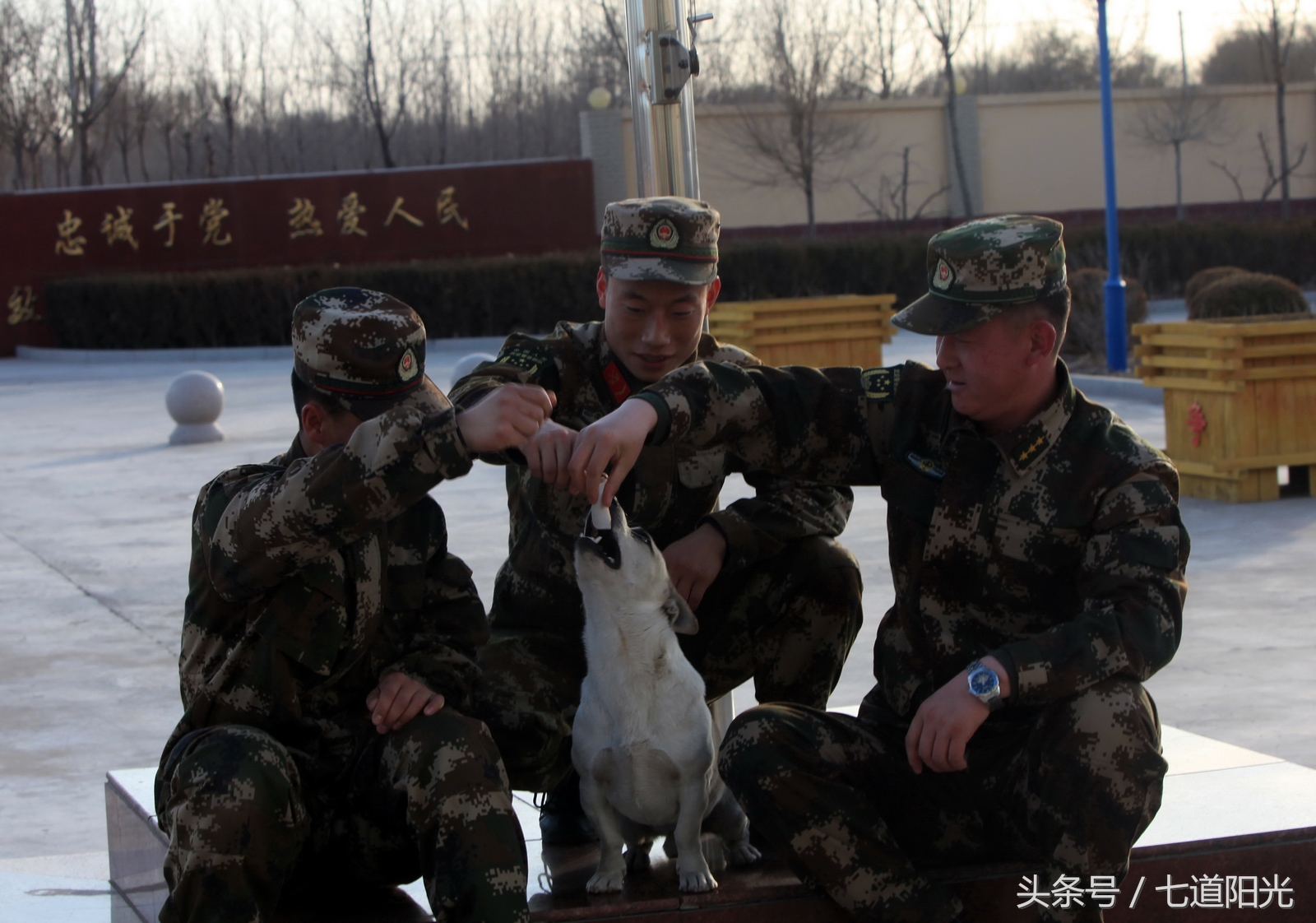 编外“战士”叫“熊猫”