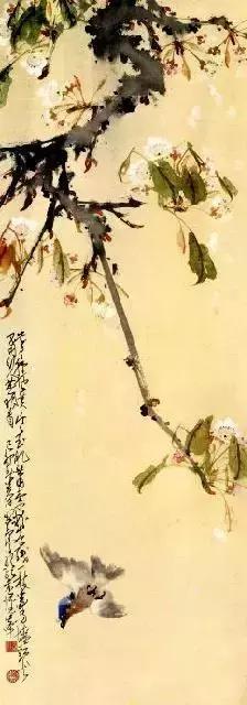 赵少昂花鸟鱼虫图片,中国花鸟大师赵少昂