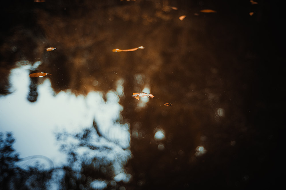 单反定焦和变焦对比,单反相机怎么选性价比高的