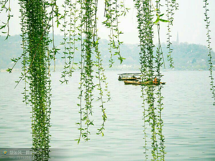 减字木兰花其三,减字木兰花暮春杂咏